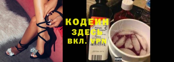 ECSTASY Кукмор