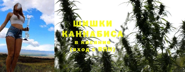 сатива Новодвинск